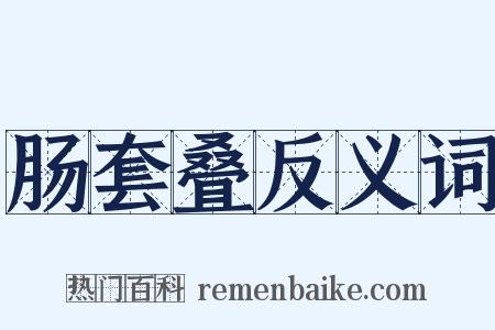 肠套叠反义词是什么意思的图片